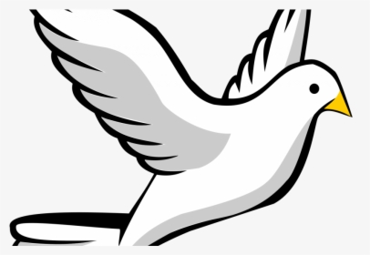 Holy Spirit Dove Png Clipart , Png Download - Bird Drawing, Transparent Png, Transparent PNG