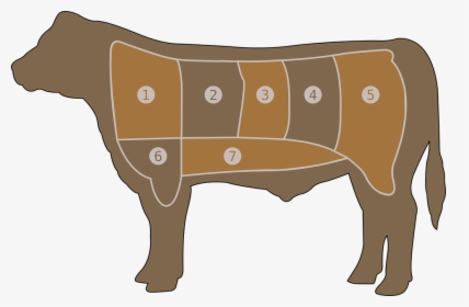 Meat Chart, Beef, Butcher, Cow, Steak, Farm, Part - Outline Of Beef Cuts, HD Png Download, Transparent PNG