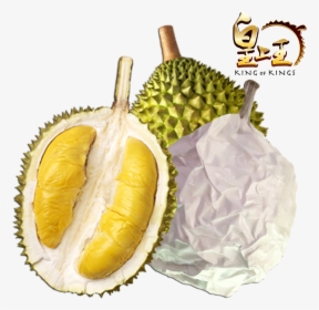 Transparent Durian Png - Musang King Png, Png Download, Transparent PNG