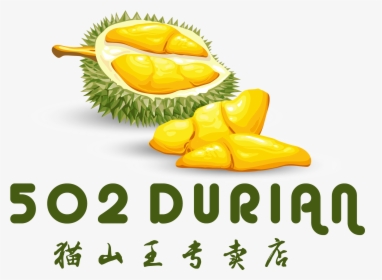 Durian Vector, HD Png Download, Transparent PNG