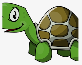 Clipart Eyes Turtle - Turtle Clipart, HD Png Download, Transparent PNG