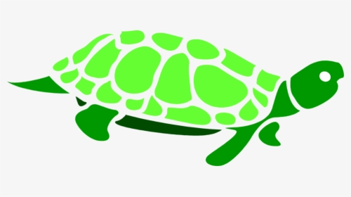Green Sea Turtle Clip Art - Turtle Clipart Clear Background, HD Png Download, Transparent PNG