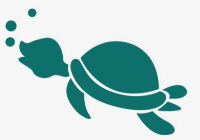 Cartoon Transparent Sea Turtle Png, Png Download, Transparent PNG