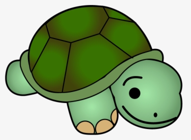 Cute Turtle Clip Art Free Clipart Images - Clipart Picture Of Turtle, HD Png Download, Transparent PNG