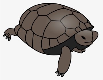 Turtle, Tortoise, Reptile, Huge, Water, Shell, Wildlife - Turtle Clipart Vector, HD Png Download, Transparent PNG