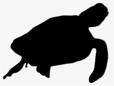 Sea Turtle Clipart Sea Life - Turtle Silhouette Transparent, HD Png Download, Transparent PNG