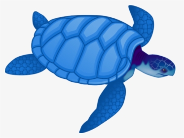 Sea Turtle Clipart Blue, HD Png Download, Transparent PNG