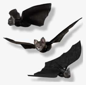 Halloween Flying Bat Toy, HD Png Download, Transparent PNG