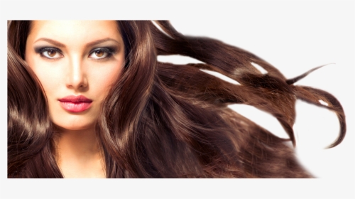 Created By A Stylist For Stylists - Hair Blowing, HD Png Download, Transparent PNG