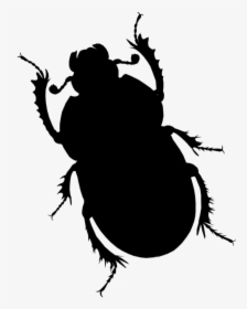 Beetle Silhouette Shower Curtain , Png Download - Illustration, Transparent Png, Transparent PNG
