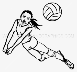 Volleyball line drawing illustration in various poses, line drawing vector  illustration graphic design Stock Vector | Adobe Stock