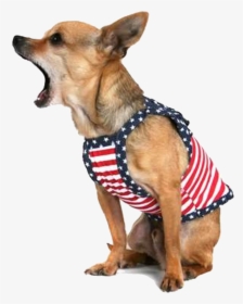 Transparent Funny Dog Png - Stop Dog Barking, Png Download, Transparent PNG