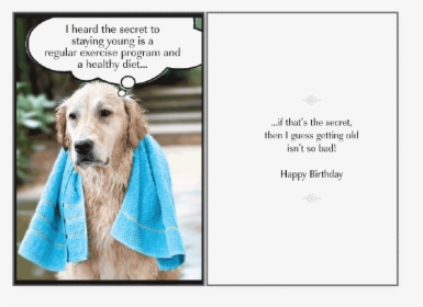 Secret To Staying Birthday Card - Dog Lover Happy Birthday, HD Png Download, Transparent PNG