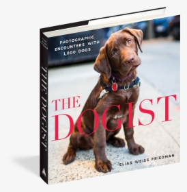Cover - Dogist Book, HD Png Download, Transparent PNG