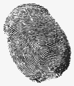 Transparent Background Fingerprint Png, Png Download, Transparent PNG