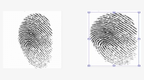 Crime Scene Latent Fingerprints, HD Png Download, Transparent PNG