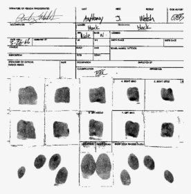 Fingerprint , Png Download - Igneous Rock, Transparent Png, Transparent PNG
