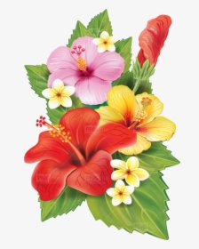 Transparent Background Tropical Flowers Png, Png Download, Transparent PNG