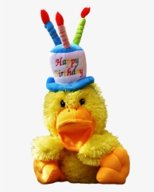 Duck, Birthday, Happy Birthday, Soft Toy - Ente Geburtstag, HD Png Download, Transparent PNG