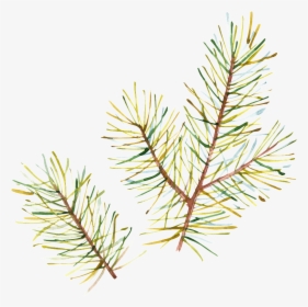 Hand Painted Half Withered Leaves Png Transparent - Aquarelle Christmas, Png Download, Transparent PNG