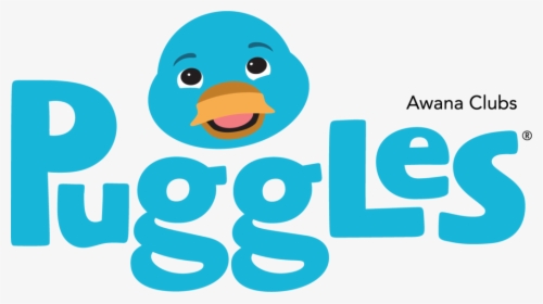 Duck, HD Png Download, Transparent PNG
