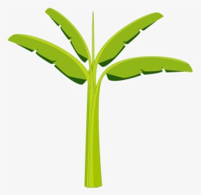 Banana Tree, Banana, Tree, Plant, Agriculture, Botany - Mata De Platano Dibujo, HD Png Download, Transparent PNG