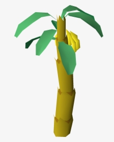 Banana Tree, HD Png Download, Transparent PNG