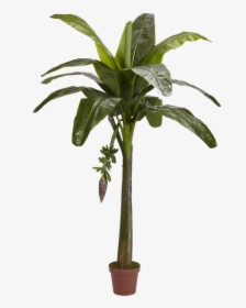 Banana Tree Cut Out, HD Png Download, Transparent PNG