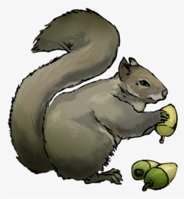 Squirrel Clipart Photos - Squirrel Clip Art, HD Png Download, Transparent PNG