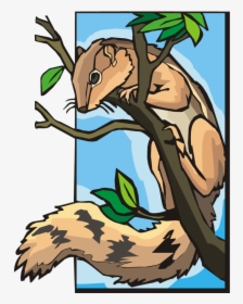 Transparent Squirrel Clipart Png - Squirrel In A Tree Clipart, Png Download, Transparent PNG