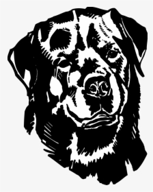 Black And White Decals Rottweiler, HD Png Download, Transparent PNG