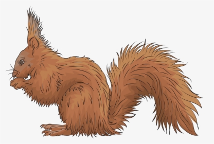 Squirrel Clipart Red - Fox Squirrel, HD Png Download, Transparent PNG