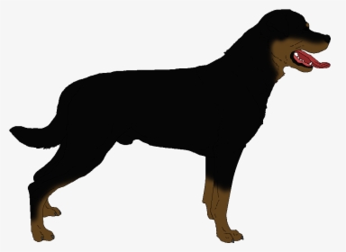 Rottweiler Clip Art - Rottweiler Png, Transparent Png, Transparent PNG