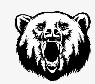 Grizzly Drawing Face - Black Bear Head Drawing, HD Png Download, Transparent PNG