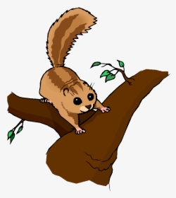 Cute Cougar Clip Art - Chipmunk In Tree Clipart, HD Png Download, Transparent PNG
