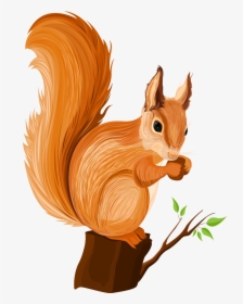 Vector Squirrel Chipmunk - Squirrel Cartoon Png, Transparent Png, Transparent PNG