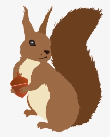 Transparent Squirrel Clipart - Transparent Squirrel Vector Png, Png Download, Transparent PNG