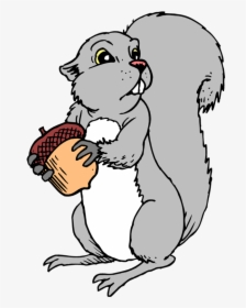 Squirrel Nuts Picture - Gray Squirrel Clipart, HD Png Download, Transparent PNG