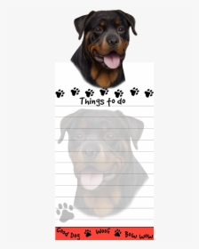 Rottweiler - Dog, HD Png Download, Transparent PNG