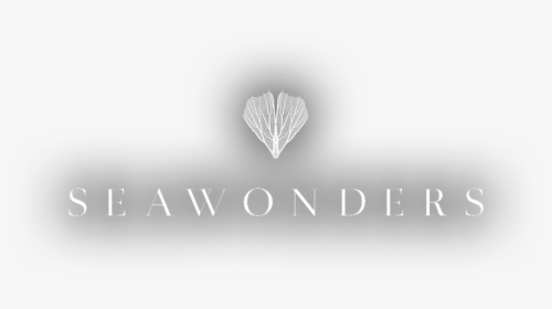 Heart, HD Png Download, Transparent PNG