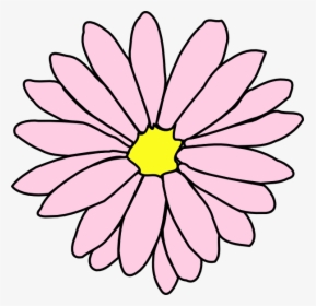 Pink Daisy Flower 3 Clip Art - Colorful Flower Clip Art, HD Png Download, Transparent PNG