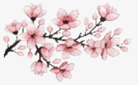 #sakura #flower #hanami #pink #aesthetic #japanese - Cherry Blossom Png, Transparent Png, Transparent PNG