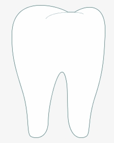 Transparent Dental Cliparts - White Tooth No Background, HD Png Download, Transparent PNG