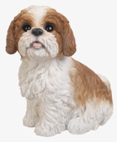 Freeuse Library Brown Sitting Resin Garden Ornament - Shih Tzu Brown And White, HD Png Download, Transparent PNG