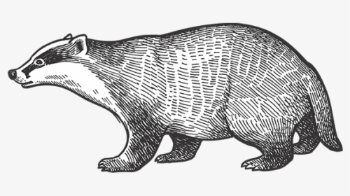 Barn Dei Mona Possum - Animales De Europa Dibujos, HD Png Download, Transparent PNG