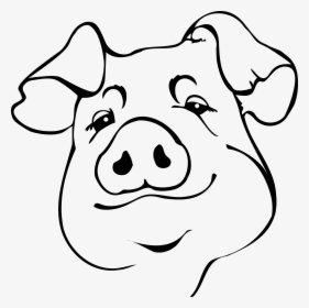 Full Size Of How To Draw An Easy Pig Face A Cute Drawing - Pig Face Drawing, HD Png Download, Transparent PNG