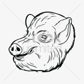 Free Pig Face Vector Image - Sketch, HD Png Download, Transparent PNG
