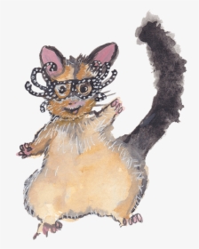 Possum Wearing Dame Edna Glasses - Illustration, HD Png Download, Transparent PNG