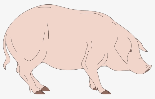 Barn, Pig, Side, View, Standing, Animal - Pig Head Cartoon Side View, HD Png Download, Transparent PNG