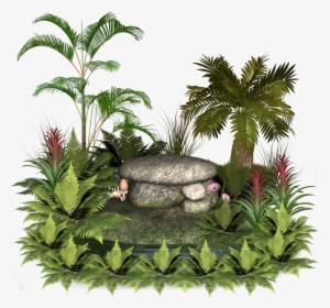 Plants And Rocks - Good Morning Happy Monday God Bless, HD Png Download, Transparent PNG